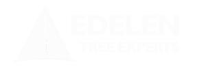 Logo Edelen
