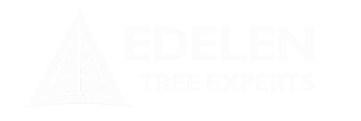 Edelen Tree Experts