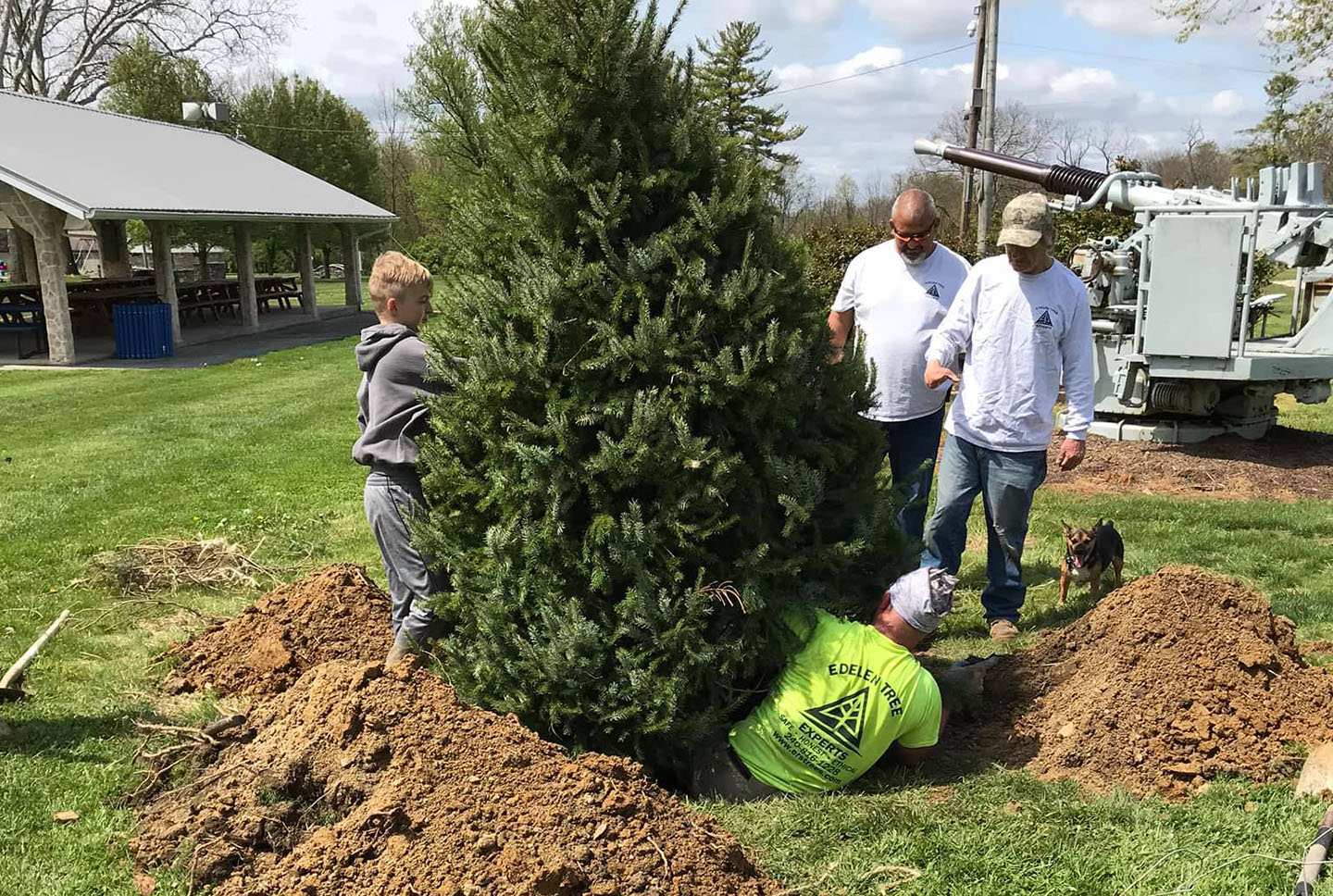 Tree planting in Shafer Park
