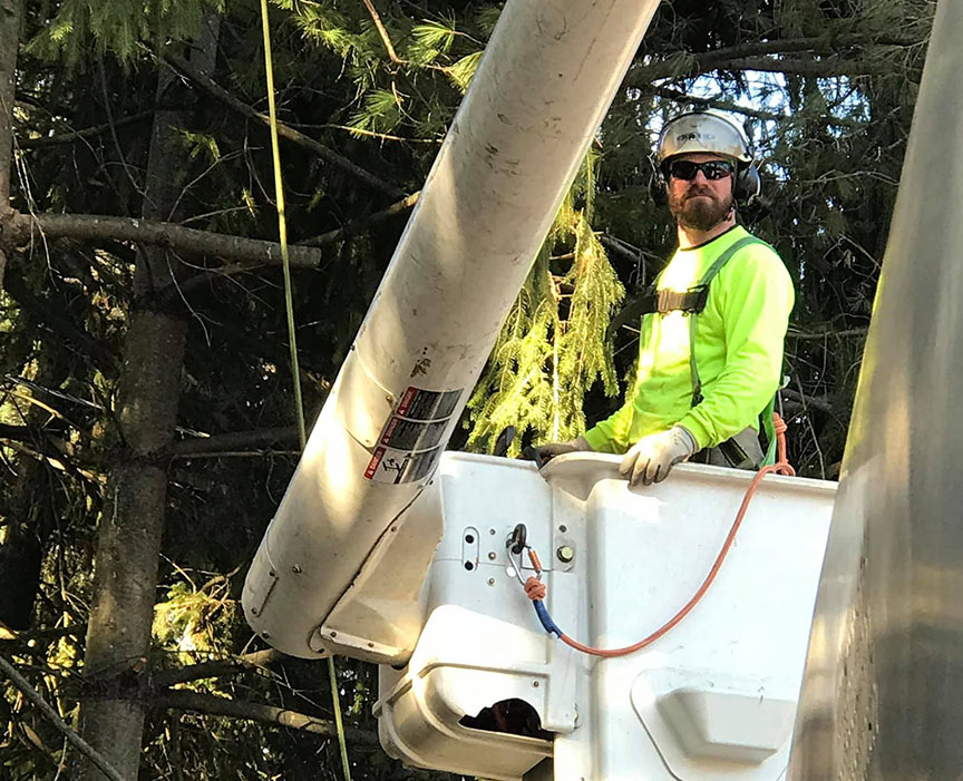 Tree Trimming