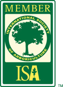 ISA member logo