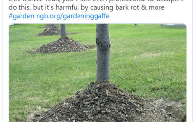 Mulch Volcanoes