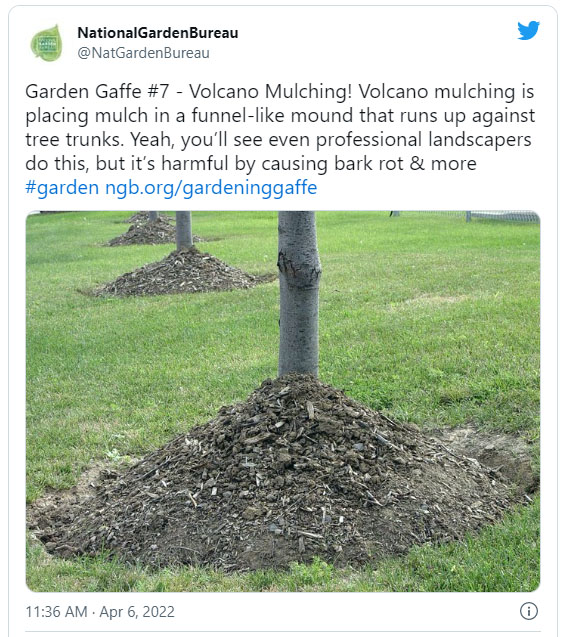 Mulch Vulcano Mulch Vulcano