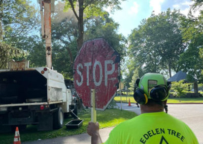 managing traffic while removing a tree