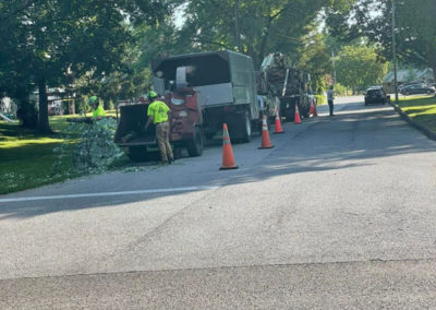 Removal of silver maple tree that was declining